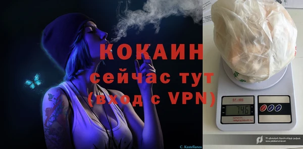 стафф Медногорск